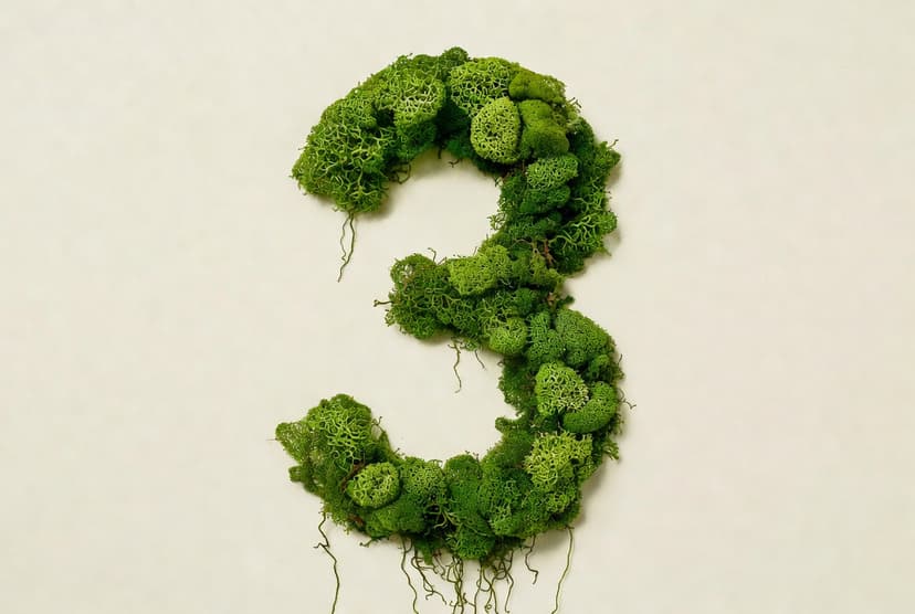 Цифра 3 из мха — третий шаг: следить за динамикой